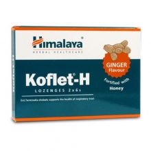 KOFLET-H GINGER