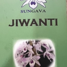 JIWANTI