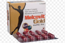 MELCOVIT GOLD