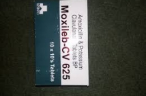 MOXILEB-CV 625